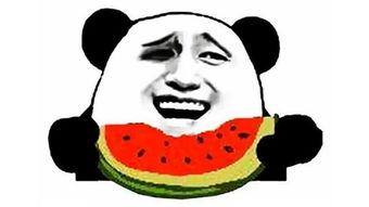 搞笑动作吃瓜视频下载,带你领略欢乐瞬间