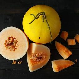 吃民勤蜜瓜的视频,甜蜜滋味尽收眼底