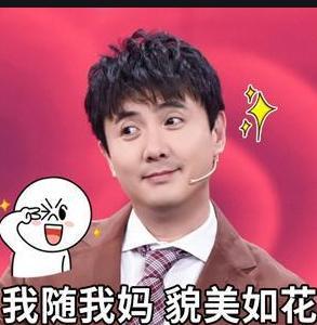 沈腾采访吃瓜视频大全集,笑料百出，揭秘娱乐圈幕后趣事