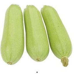 别人吃角瓜的视频大全,视频大全带你领略角瓜美味瞬间