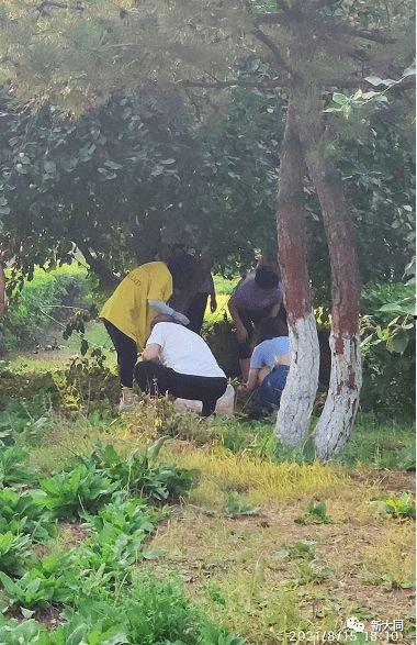 西河公园吃瓜事件视频完整版,视频完整版揭秘惊人真相