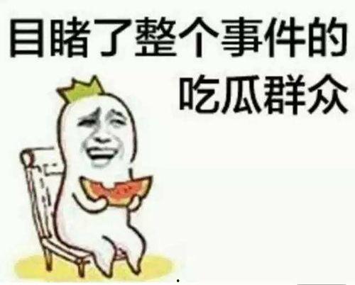 吃瓜群众的讽刺动画视频,揭秘娱乐圈的“瓜皮”真相