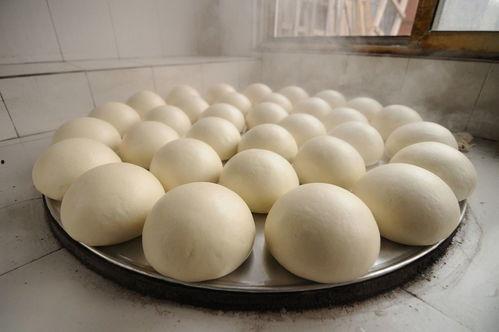 老瓜能不能蒸馒头吃呀视频,揭秘蒸馒头的奇妙变身