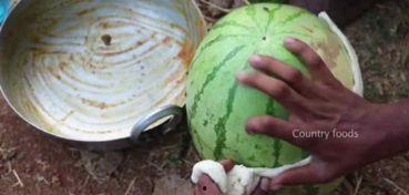 印度特色吃瓜视频,特色吃瓜视频带你领略异国美食文化